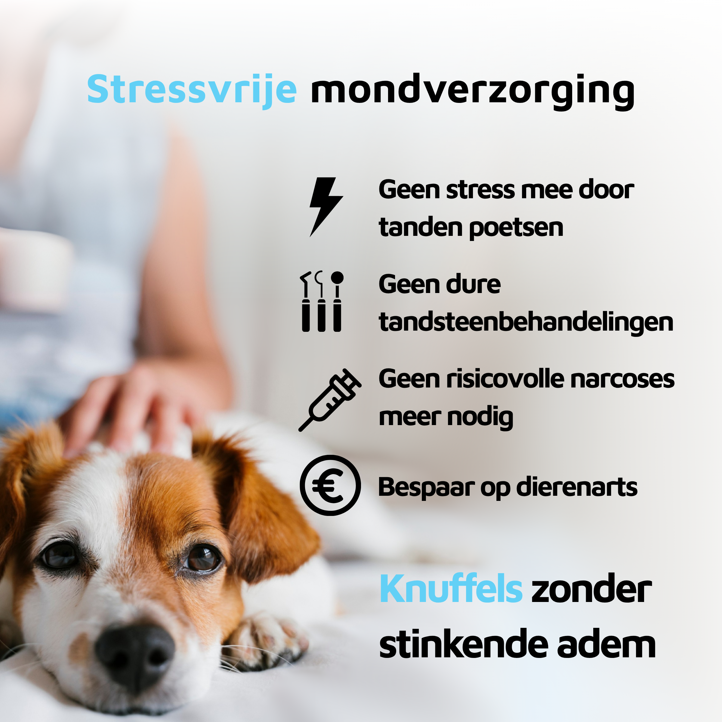 Gezond gebit - 90 schepjes