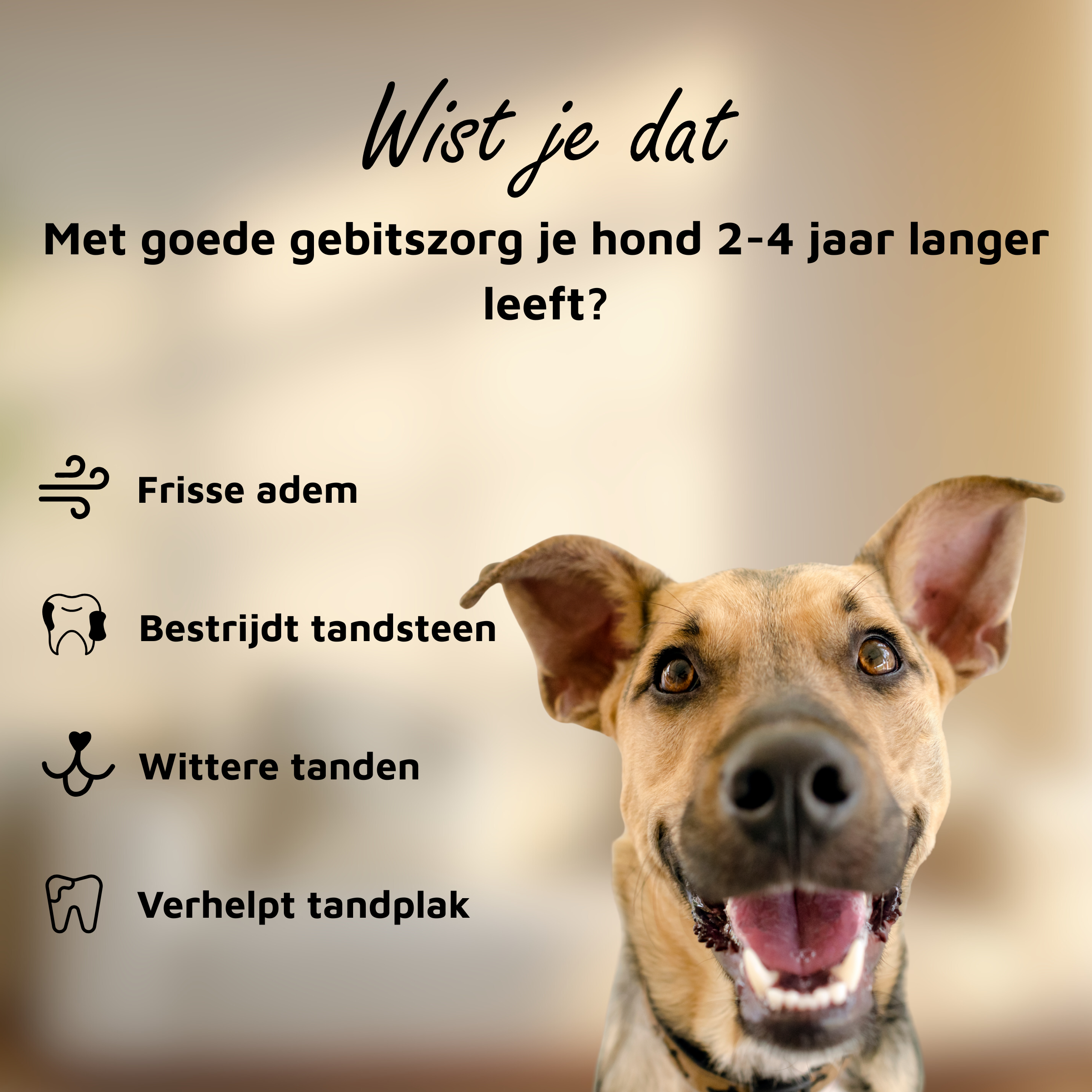 Gezond gebit - 120 schepjes