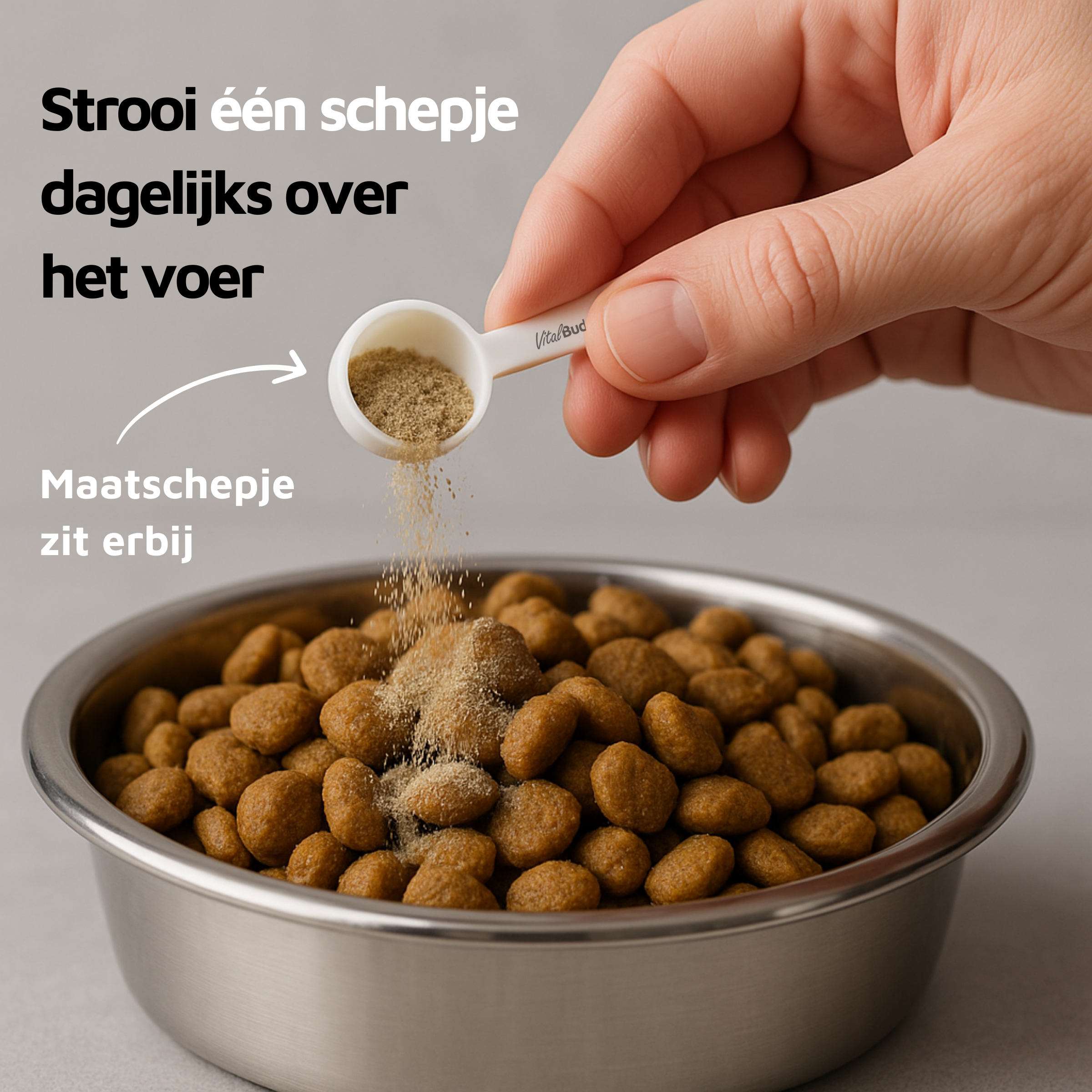 Gezond Gebit - 90 schepjes