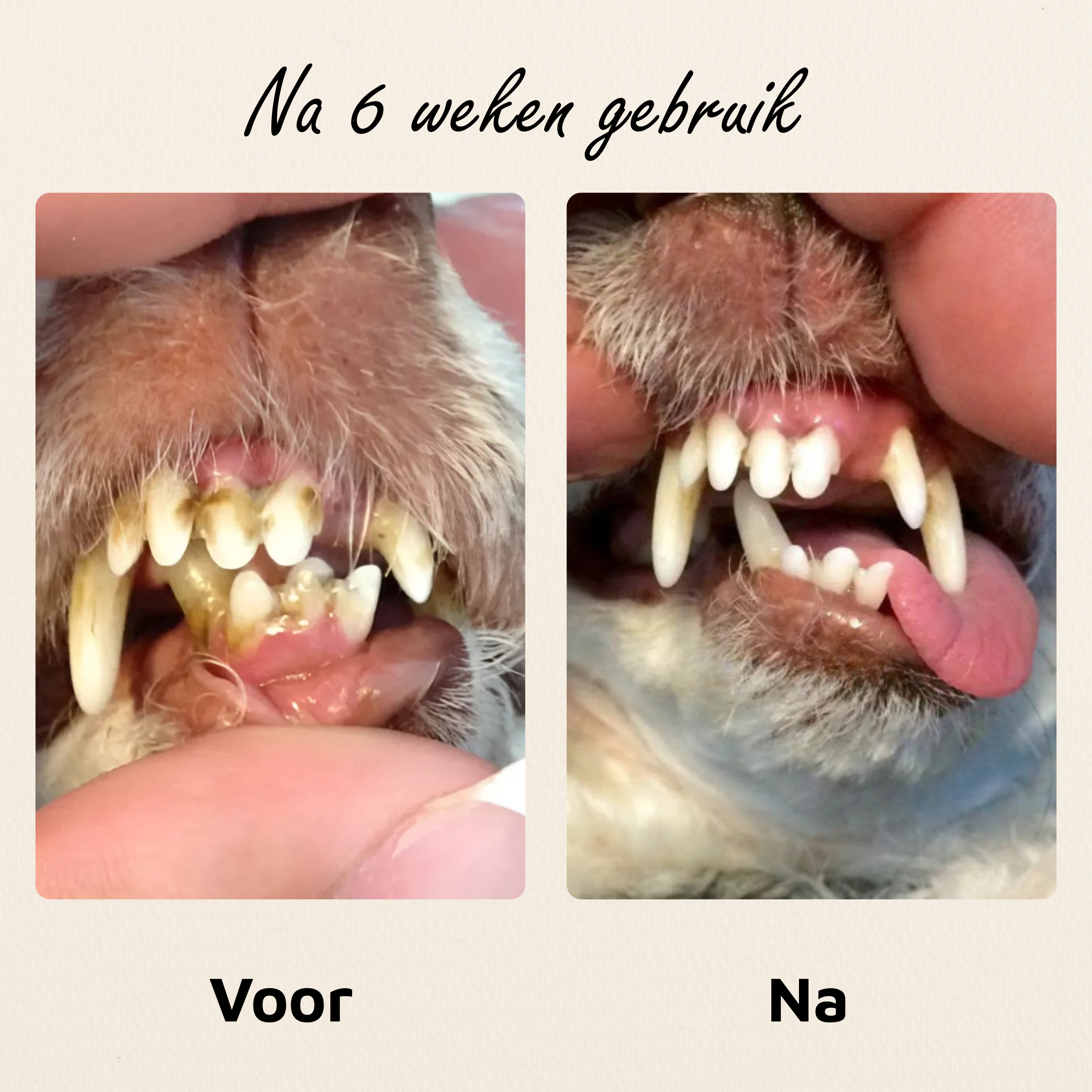Gezond gebit - 120 schepjes