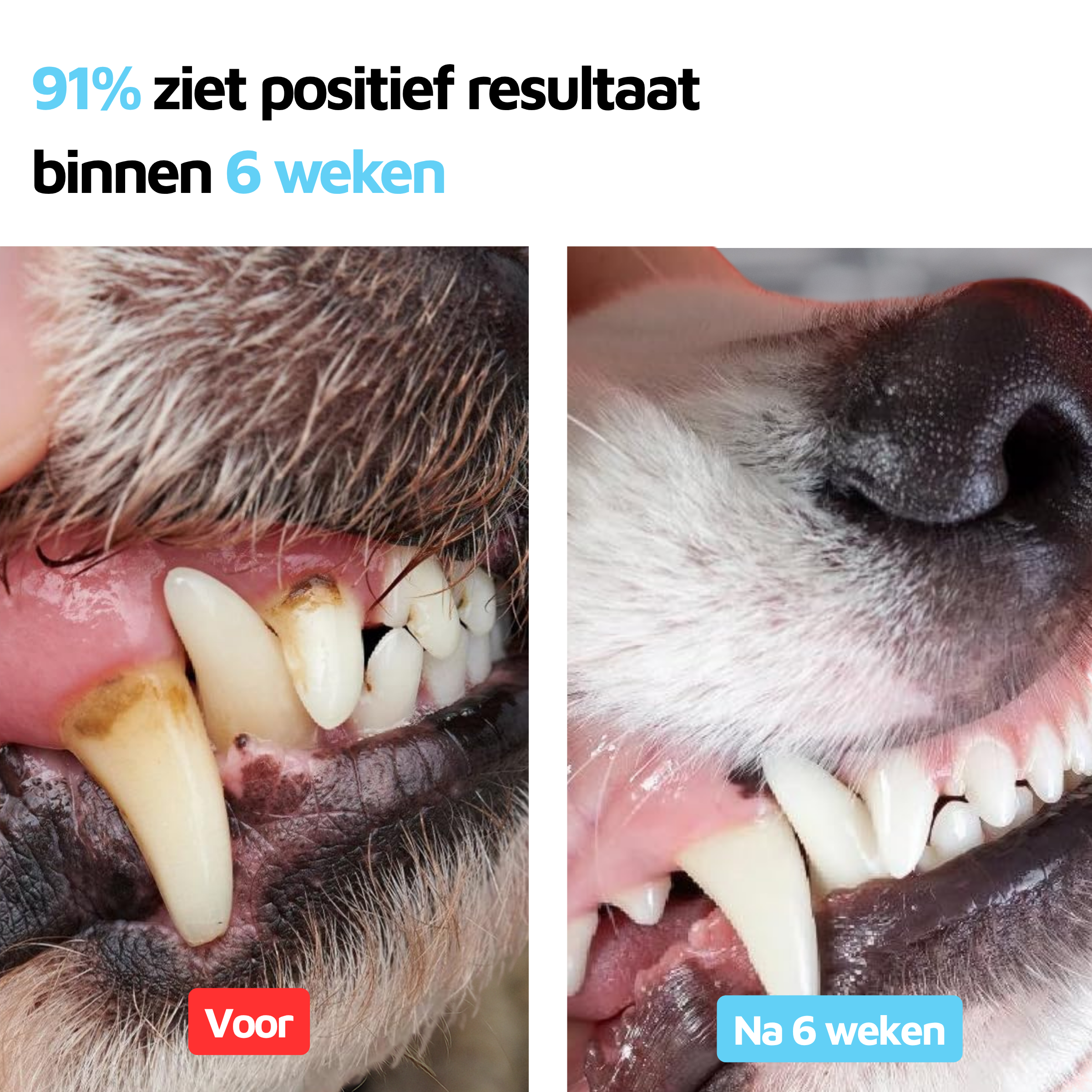 Gezond gebit - 90 schepjes