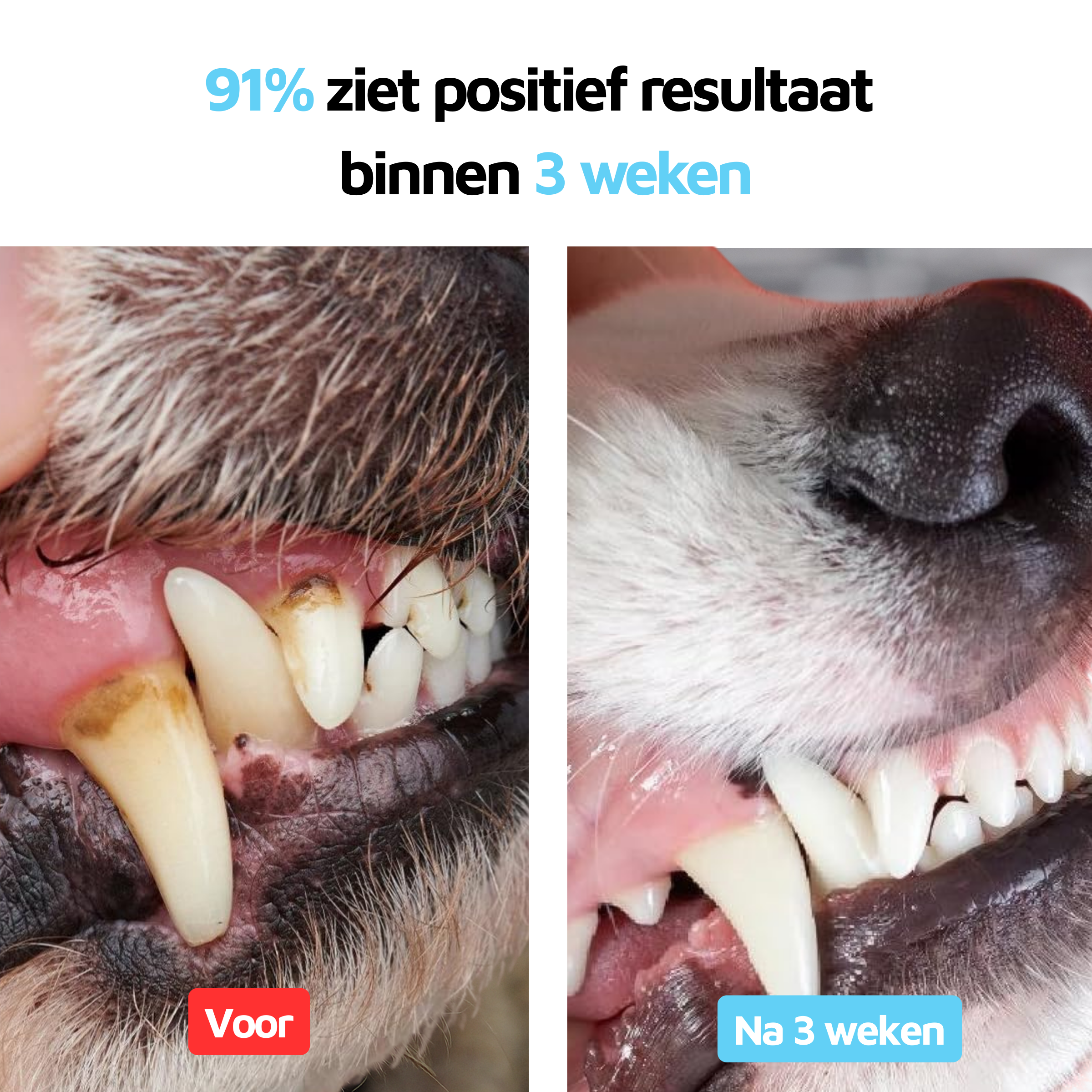 Gezond Gebit - 90 schepjes