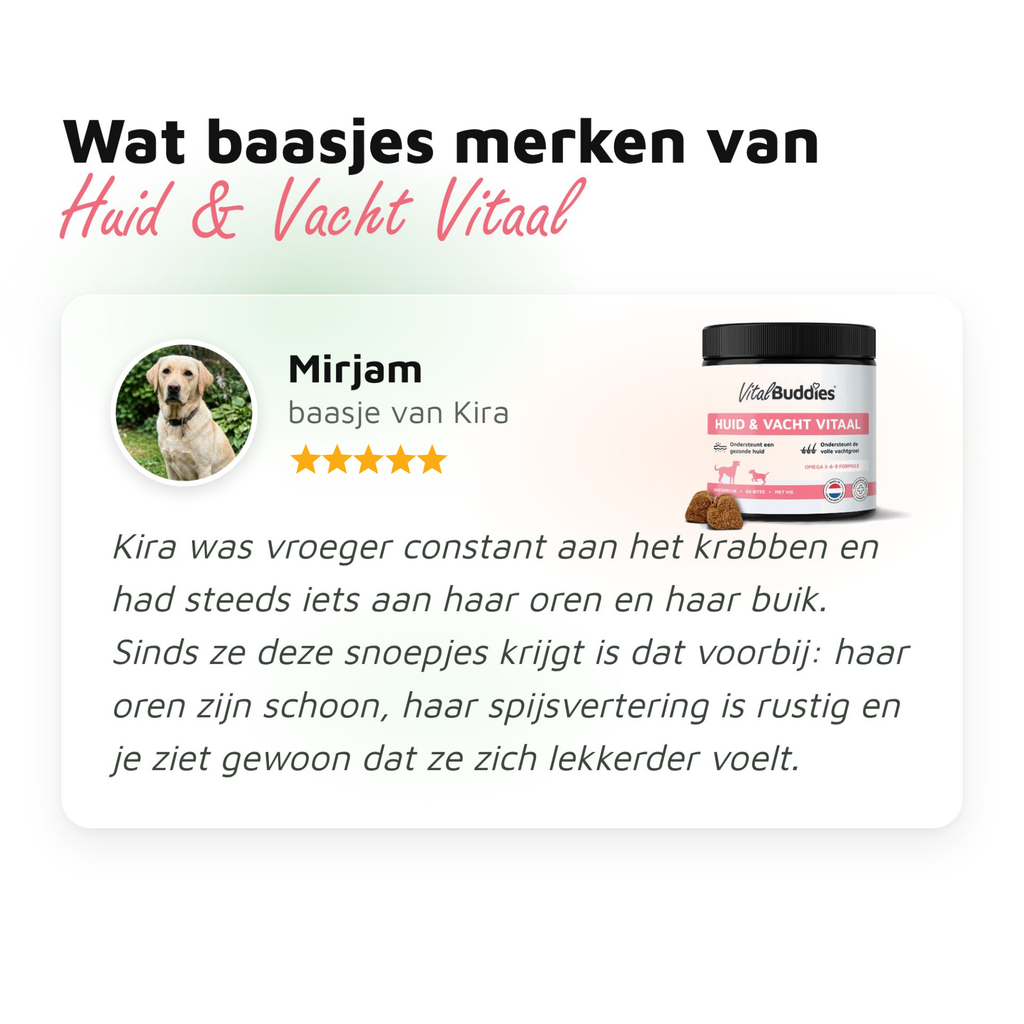 Huid & Vacht Vitaal
