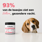 Huid & Vacht Vitaal