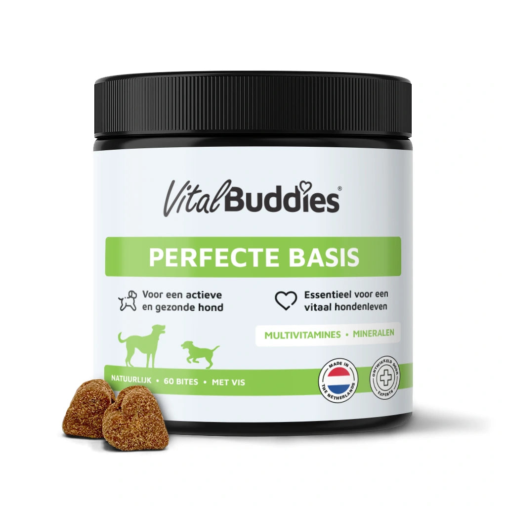 Perfecte Basis - 60 bites