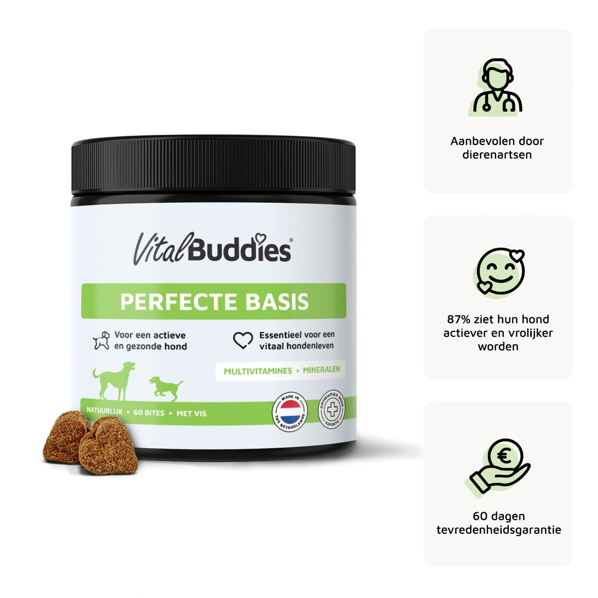 Perfecte Basis - 60 bites