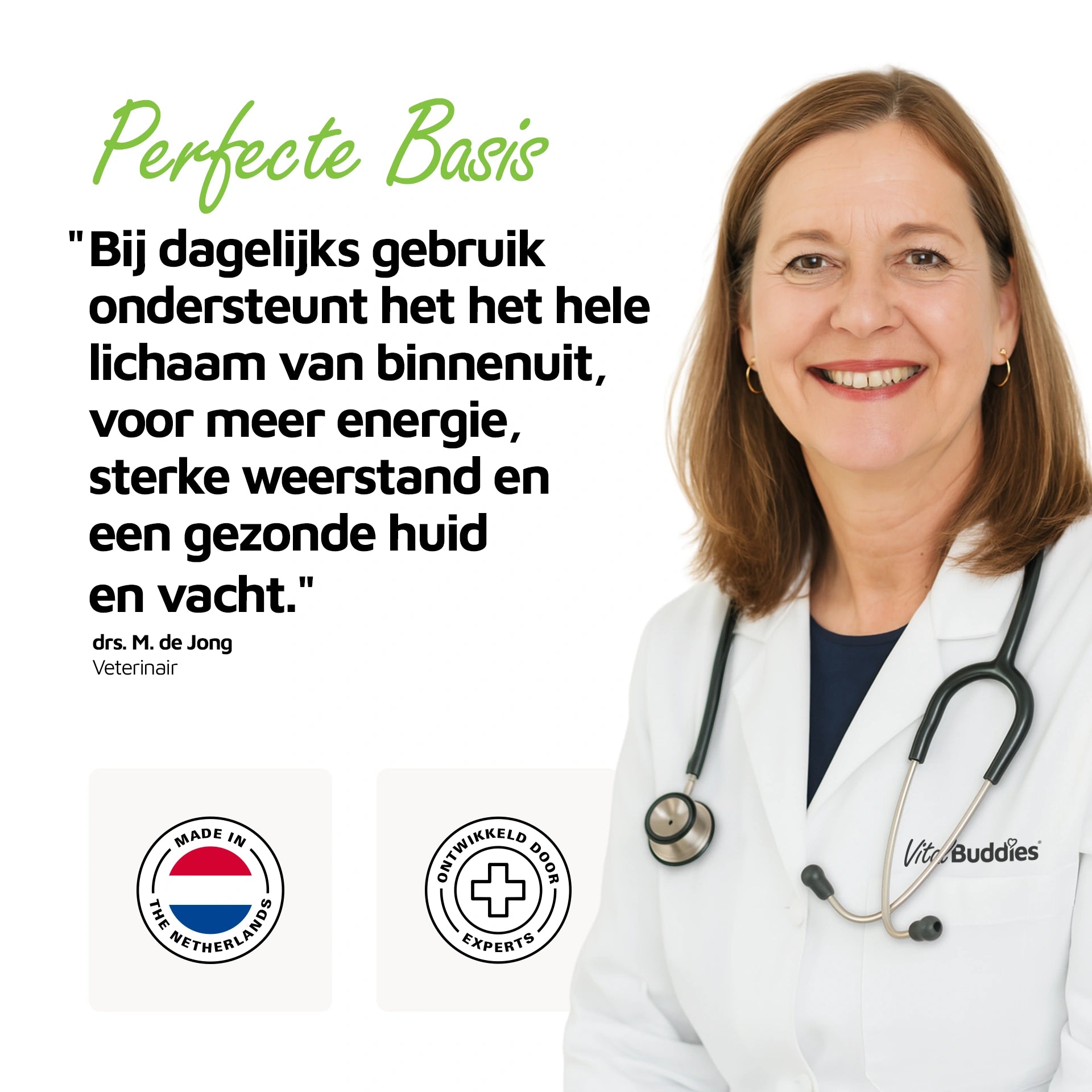 Perfecte Basis - 60 bites