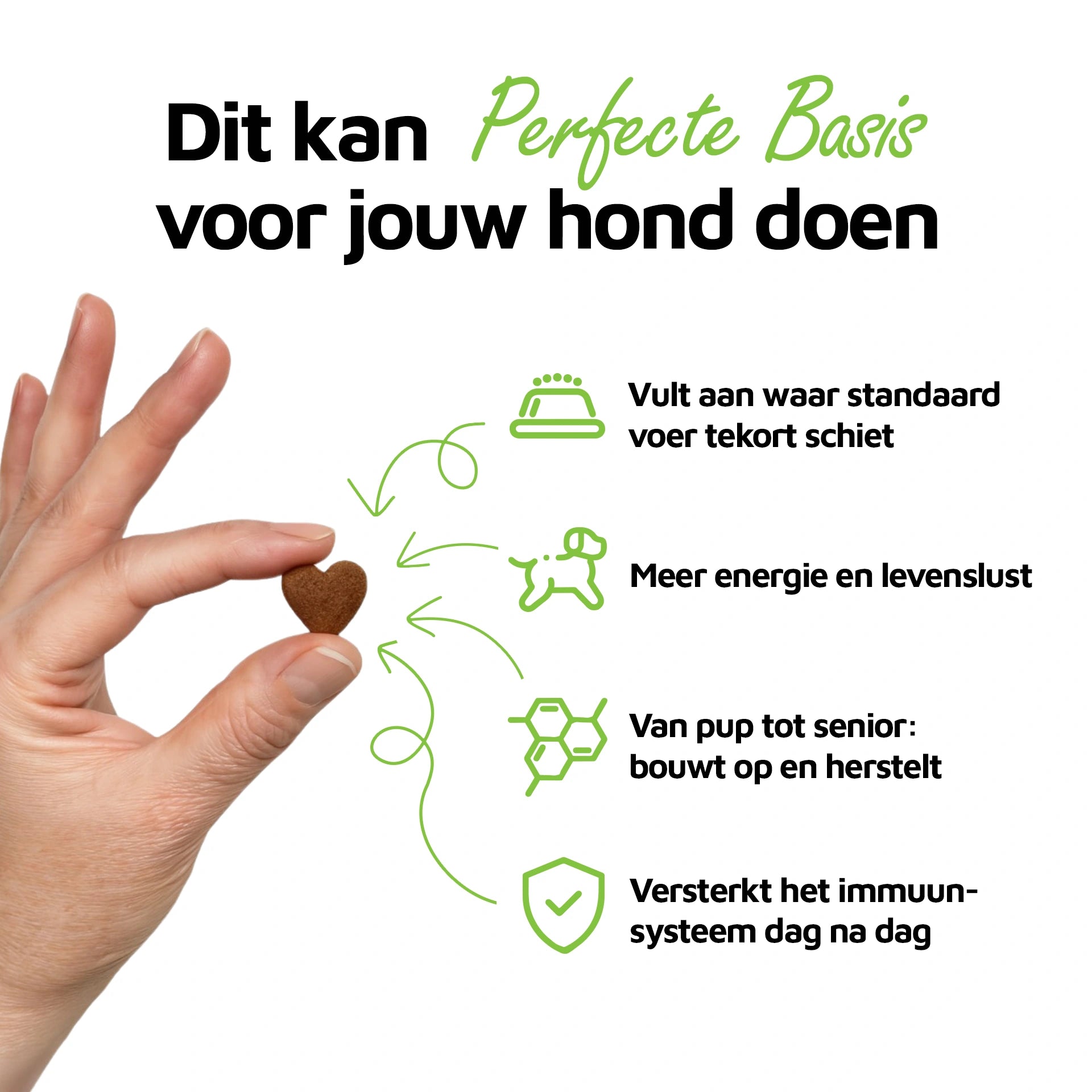 Perfecte Basis - 60 bites