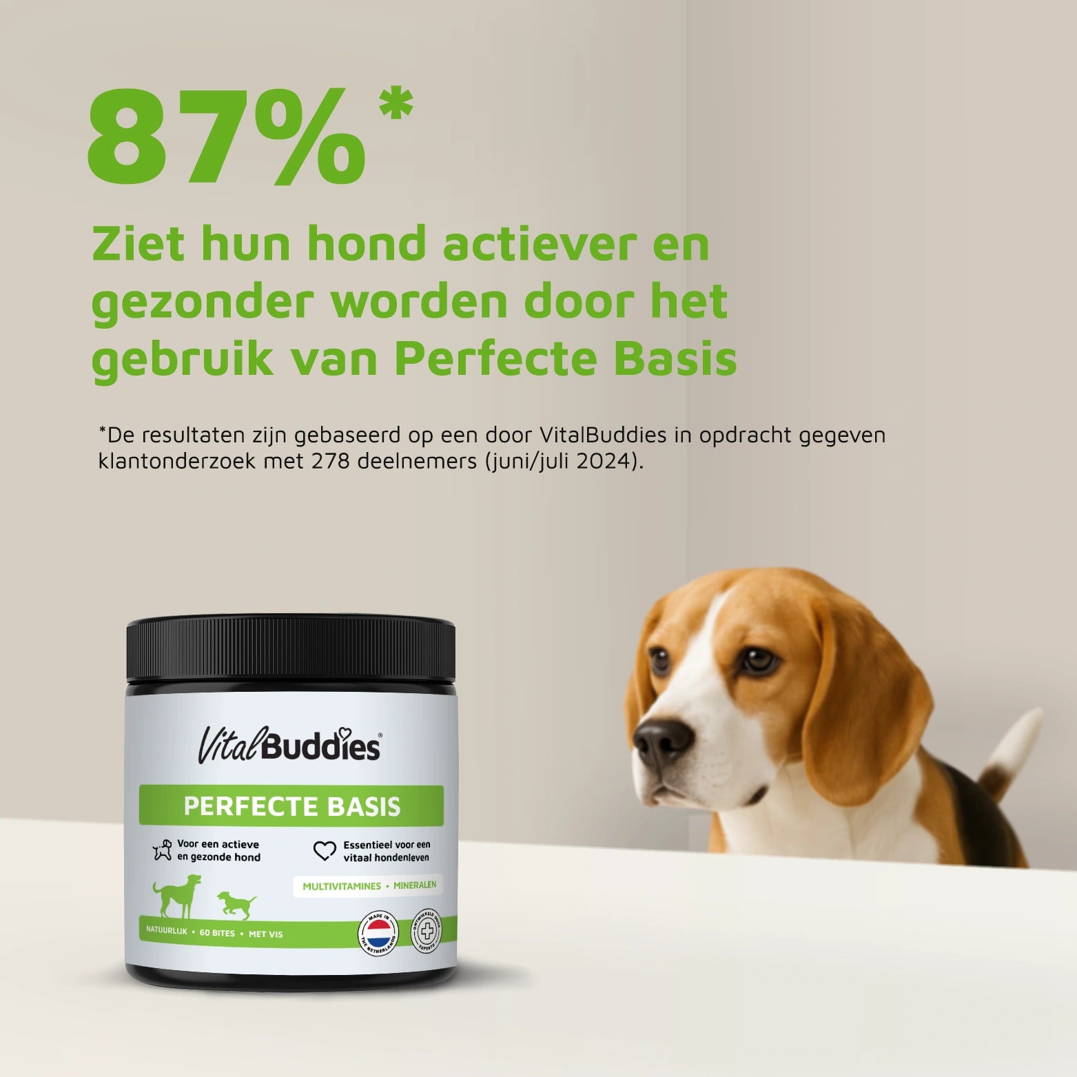 Perfecte Basis - 60 bites