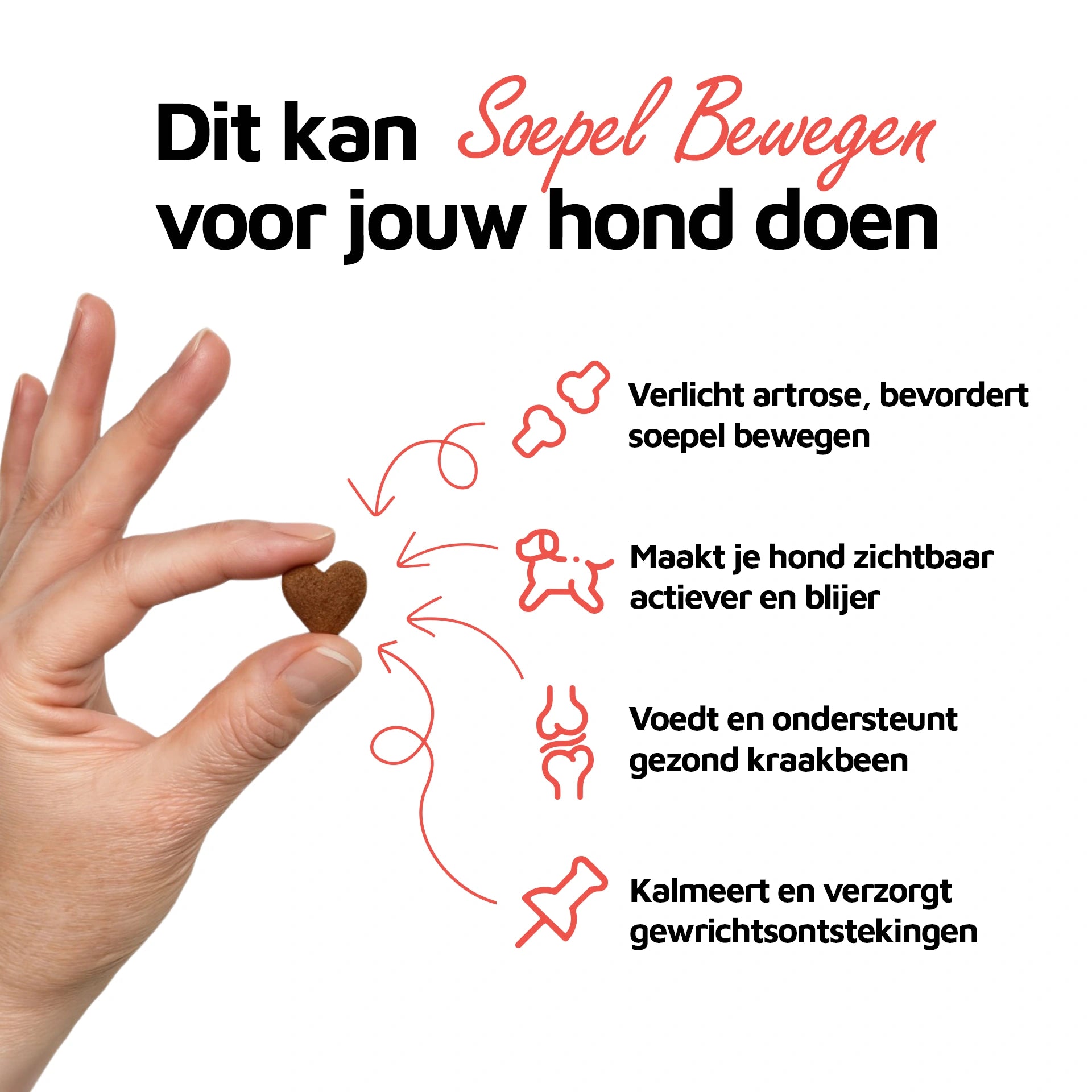 Soepel Bewegen - 60 bites