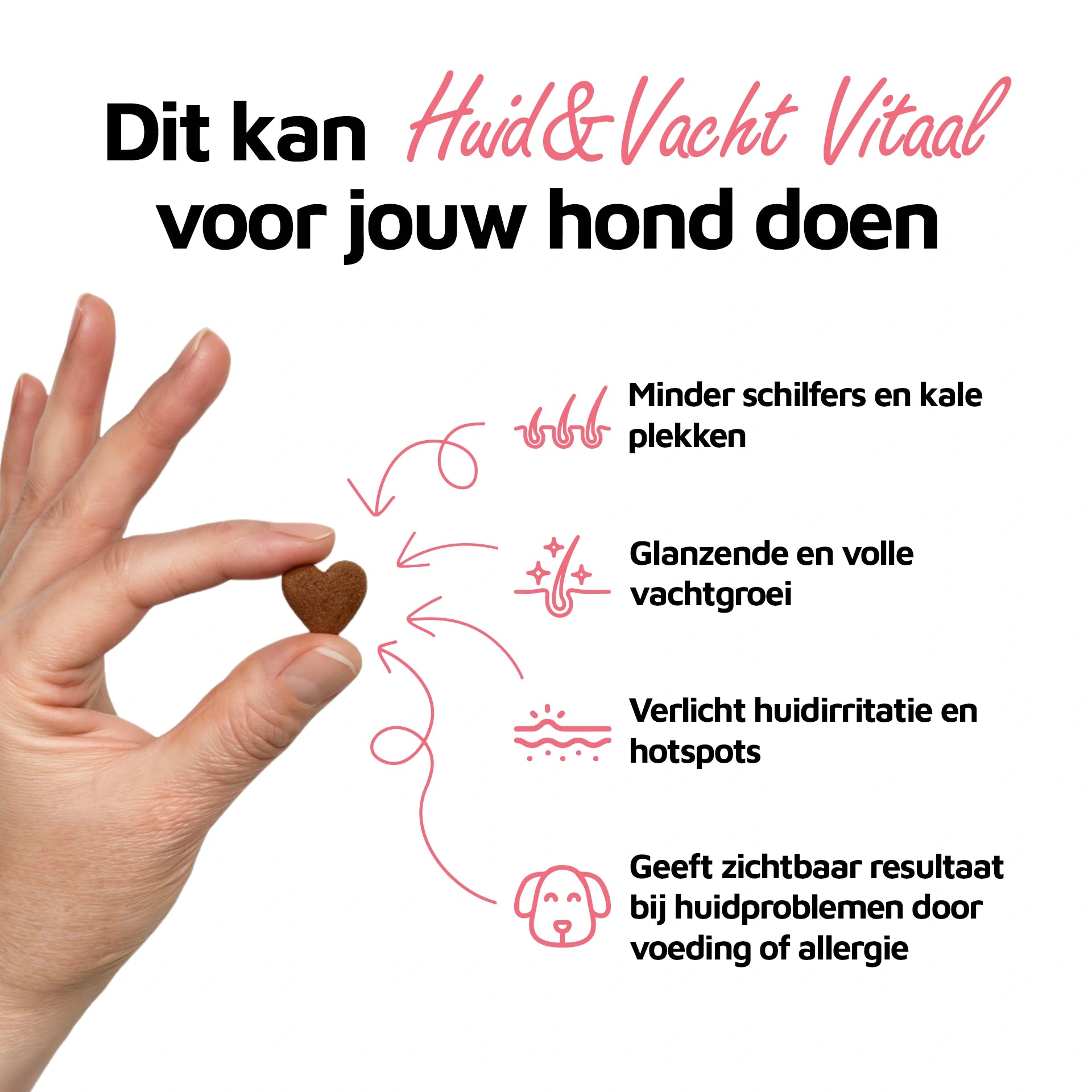 Huid & Vacht Vitaal - 60 bites