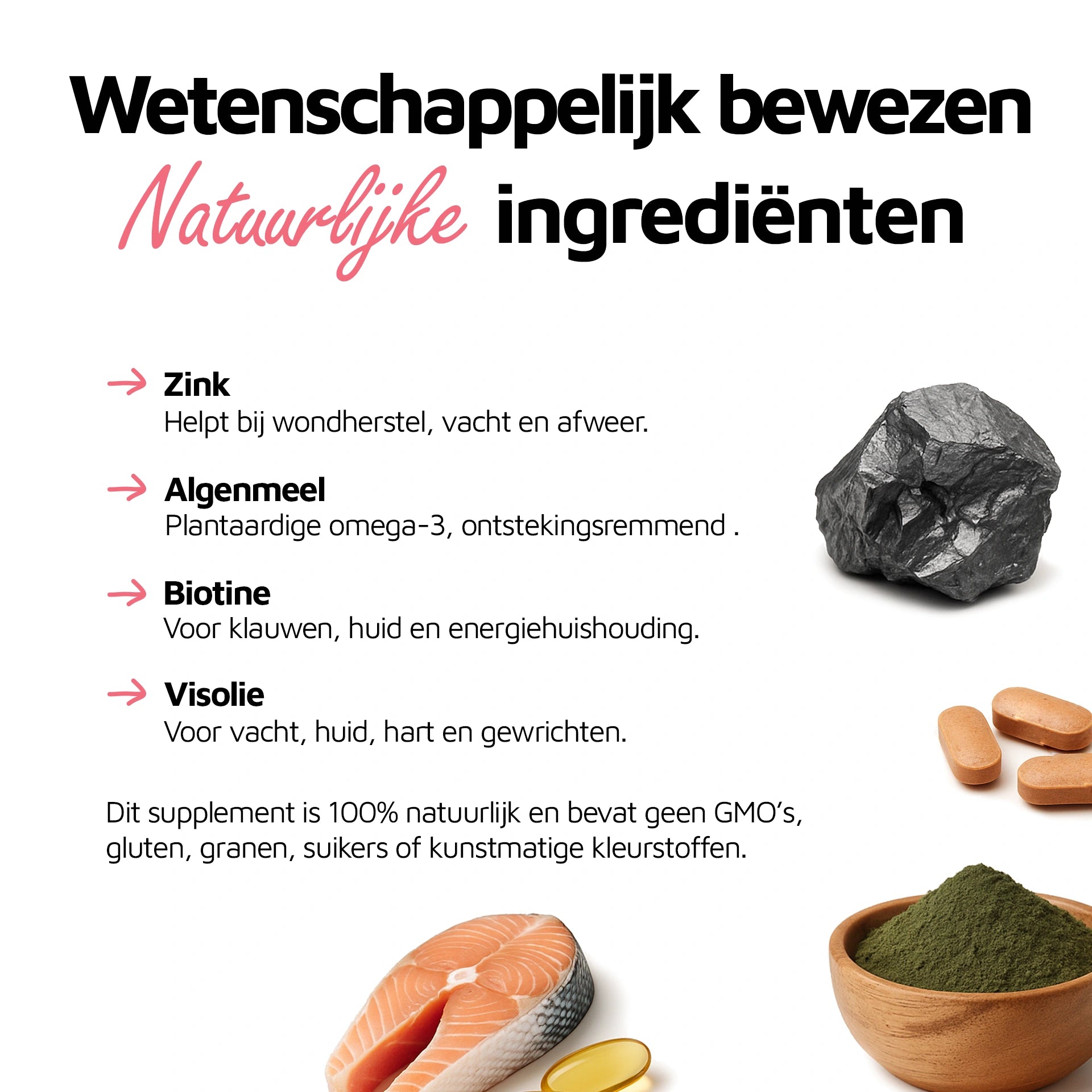 Huid & Vacht Vitaal - 60 bites