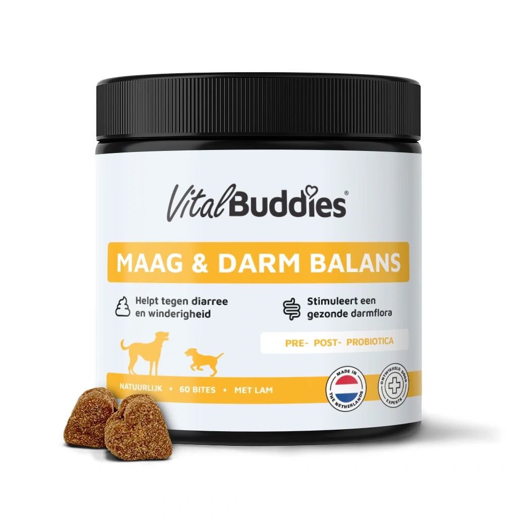 Maag & Darm Balans - 60 bites
