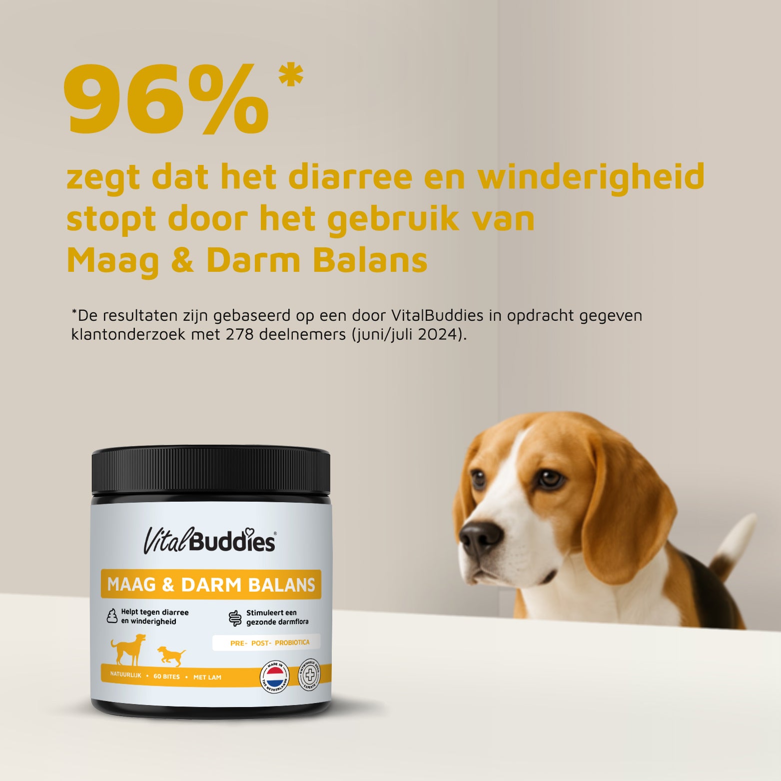 Maag & Darm Balans - 60 snoepjes