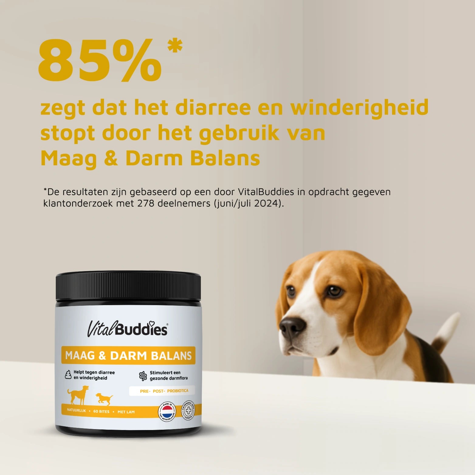 Maag & Darm Balans - 60 bites