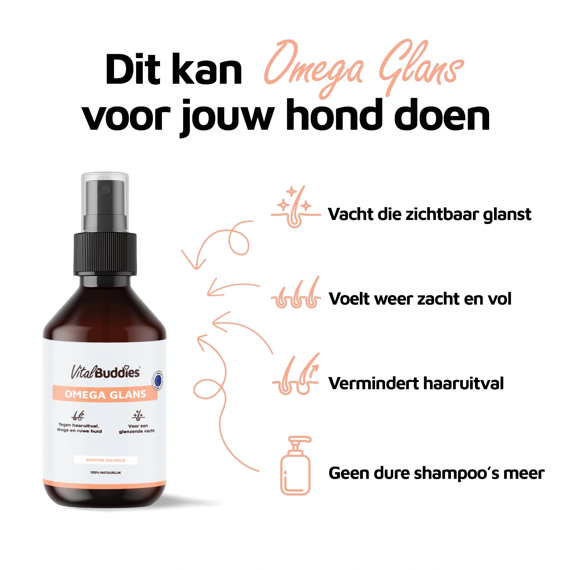 Omega Glans - 250ml