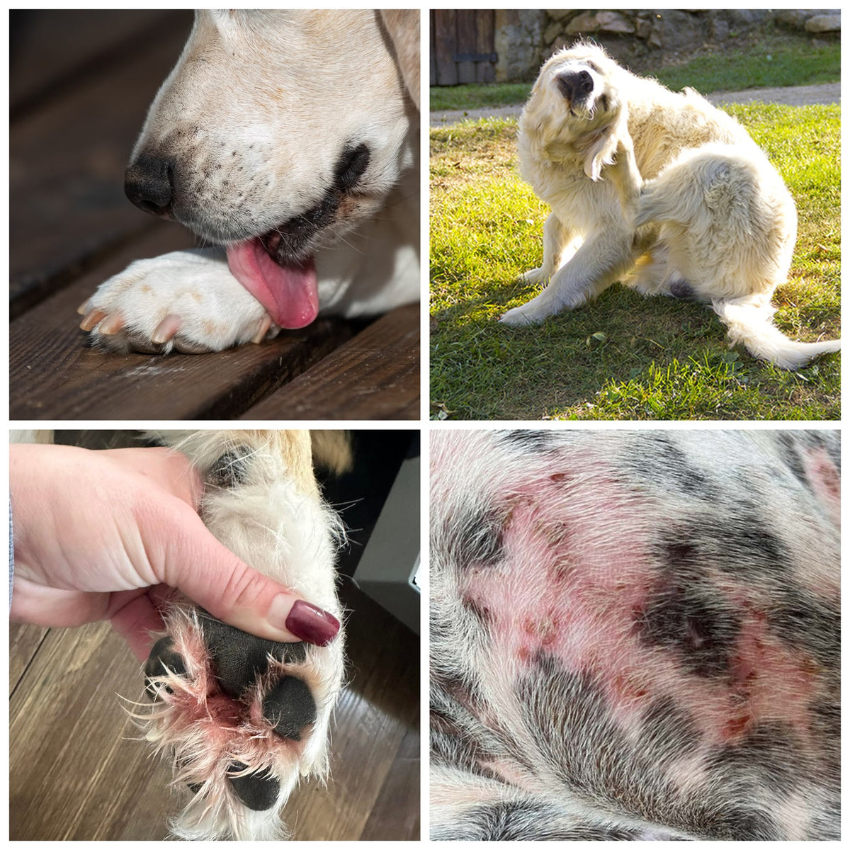 Dag 1-3