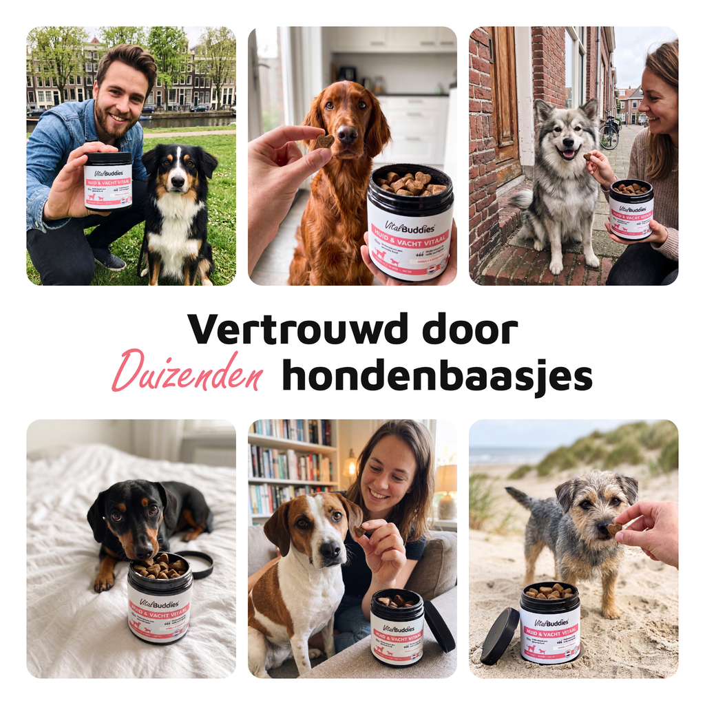 Huid & Vacht Vitaal