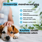 Gezond Gebit