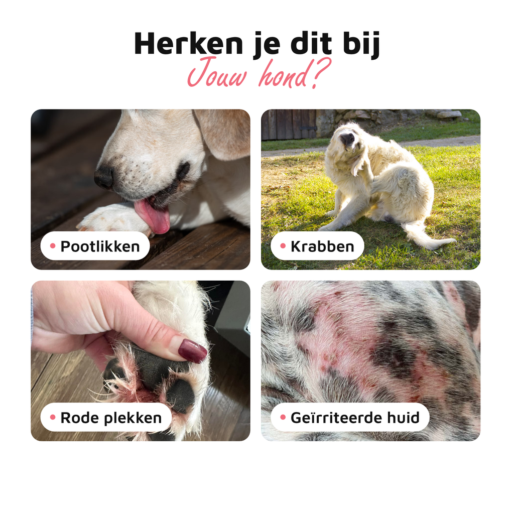 Huid & Vacht Vitaal