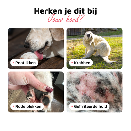 Huid & Vacht Vitaal