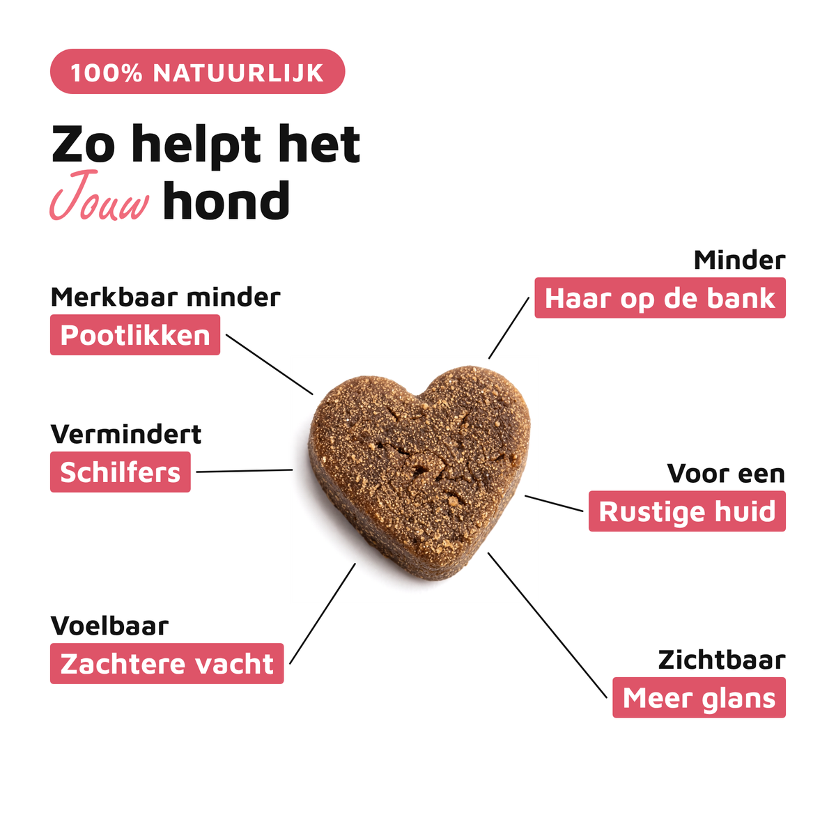 Huid & Vacht Vitaal