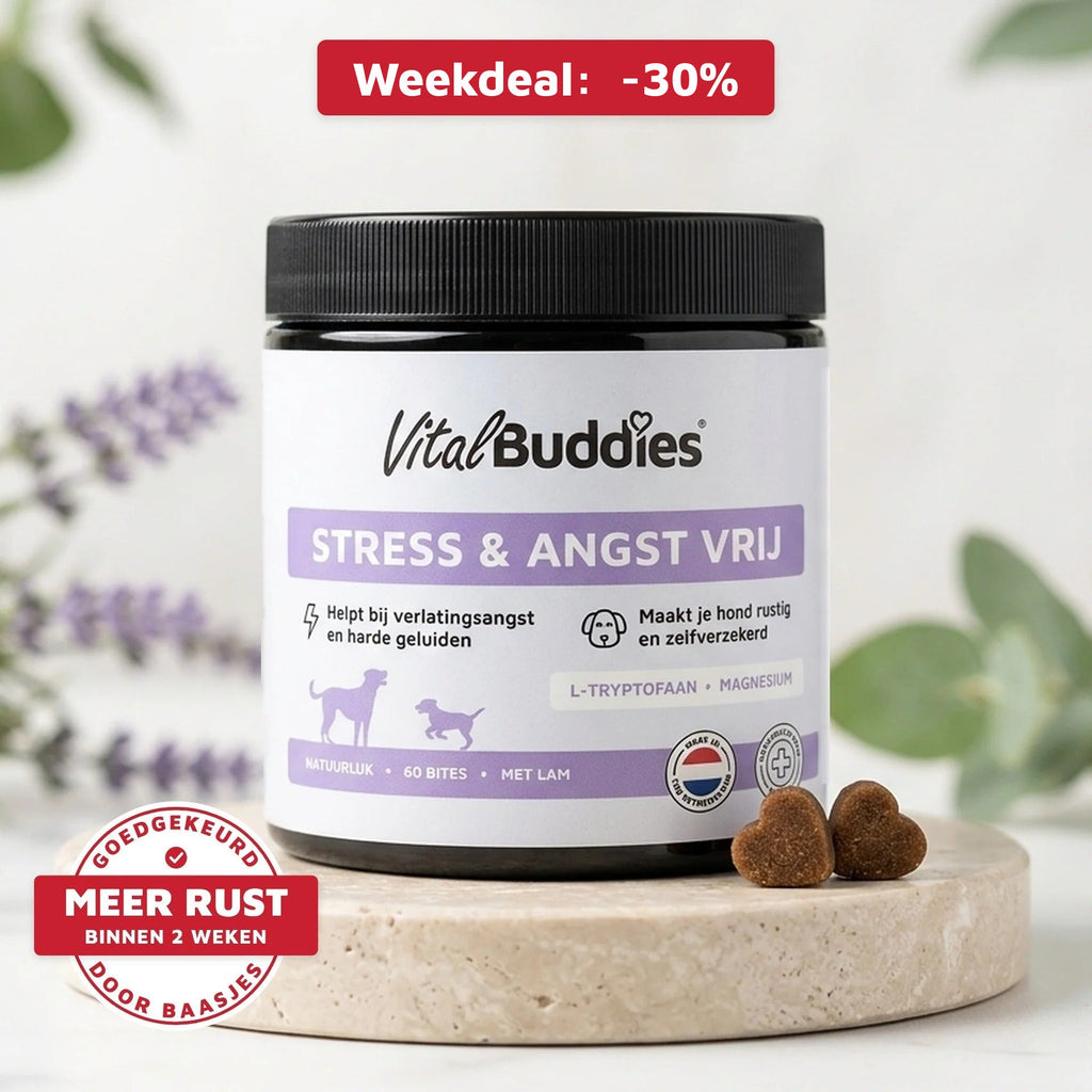 Stress & Angst Vrij van VitalBuddies op een stenen podium tussen lavendel en eucalyptus, met weekdeal -25% en de badge Meer rust binnen 2 weken, goedgekeurd door baasjes